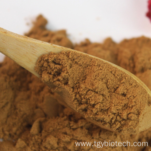 Hot Sale 100% 10:1 20:1 Maca Root Extract